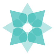 Black Star Opal logo