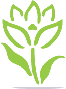 Toronto Flower logo