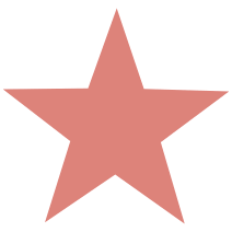 North Star Military Figures logo