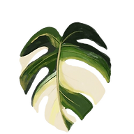 Soothing Nature LLC logo