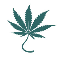 Beyond the Joint logo
