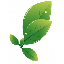Ayurvedaproducts logo