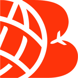 BringIt Import logo