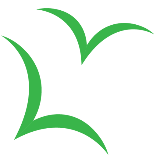Beyond Debt logo