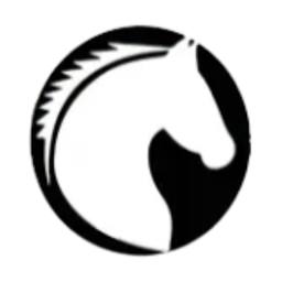 Strategyworks Consulting logo
