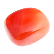 Carnelian Web Services logo