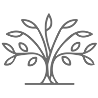 Midsummer Dental logo