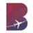 Business Fly logo