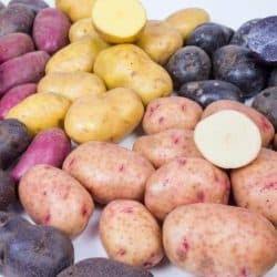 Potato House logo