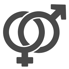 PrimeBoosts | Cheap Discord Server Boosts logo