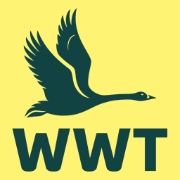 Wildfowl and Wetlands Trust logo