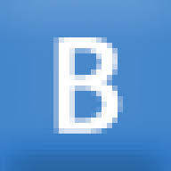Bradleysfish logo