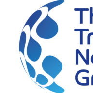 Thetravelnetworkgroup logo