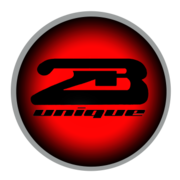 2B Unique logo