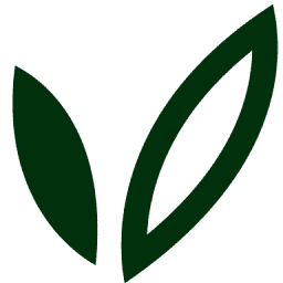 KT Insurance logo
