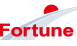 Fortune Energy logo