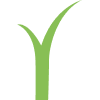 Easigrasseastanglia logo