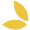 Somerlap Forest Products logo