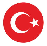 Turkeyvisaservices logo