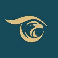 Eagleeyesurgeons logo