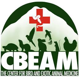 Theexoticvet logo