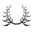 Avigailadam logo