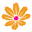 Bulkwildflowers logo