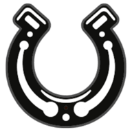 wildwestwins.com logo
