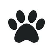 LazyDogz logo