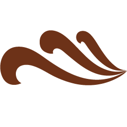 Paradisevietnam logo