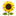 Northernflower logo