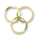 Pickwick Jewellers and Pawnbrokers logo