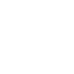 Wondershare logo