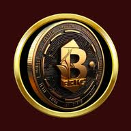 BigRig Token Operation logo