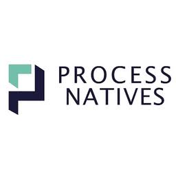 Process Natives logo