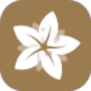 Muses Academy logo