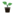 High Grade Hydroponics logo