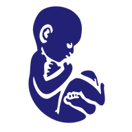 BabyScanUK logo
