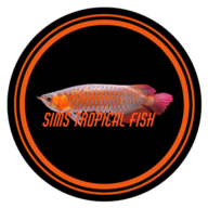 Sims Tropical Fish Ltd logo