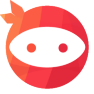 Ninja Team logo