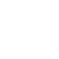 Universal Models logo