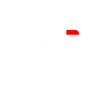 Rizwardsleather logo