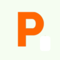 Paynetworx logo