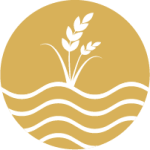 Dvmbali logo