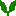 Boxtrees Nursery Ltd logo