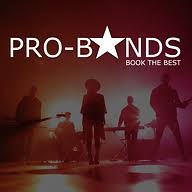 Pro Bands logo