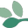 cpapspecialists.com.au logo