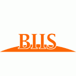 Bridges International Insurance Services logo