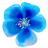 Bluebell Cottage Gdn logo