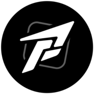 Platinumbjj logo